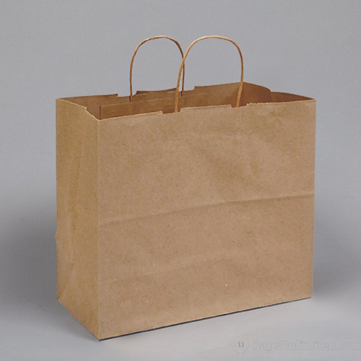 Natural Kraft Paper Shopping Bags w